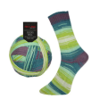 Włóczka PRO LANA Socks Ball 100g. kolor 6